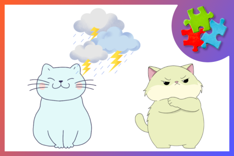 Zwei Katzen, eine wütend und eine glücklich